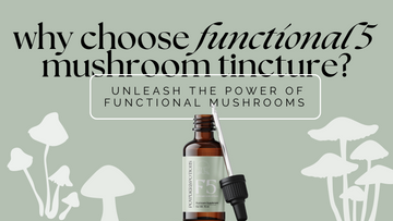 What are the benefits of our Functional 5 Mushroom Tincture?